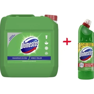 Dağ Esintisi 3240 ml + Domestos Dağ Esintisi 500 ml
