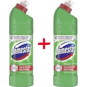 Dağ Esintisi 500 ml x 2