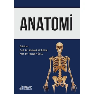 Anatomi - Mehmet Yıldırım