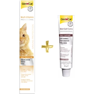 Multivitamin Paste Kedi Vitamin Macunu 100 gr + Gimcat Anti-Hairball Malt Paste 20 gr ARDA009