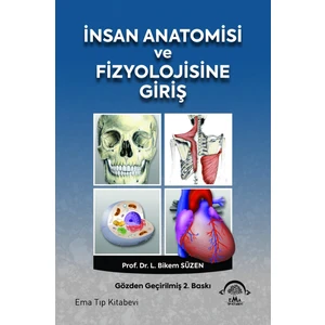 İnsan Anatomisi ve Fizyolojisine Giriş - L. Bikem Süzen