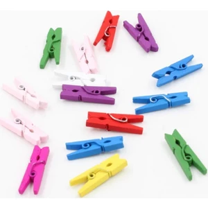 Mini  Renkli Fotğraf Resim Mandalı 50'li Boy 25 mm