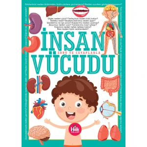 Insan Vücudu