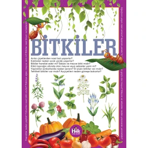 Bitkiler