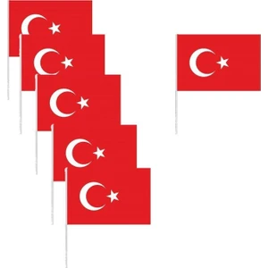 Türk Bayrağı Küçük Boy Çıtalı 10'lu