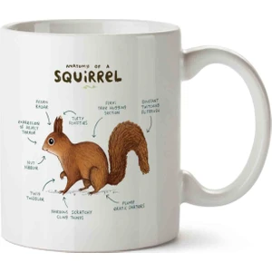 Art Hediye Sincap Anatomisi Squirrel Anatomy Kupa Bardak