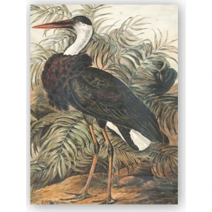 Caka Tablo   Ahşap Tablo Yapraklar Önündeki Turna Kuşu