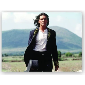 Caka Tablo   Ahşap Tablo Antonio Banderas