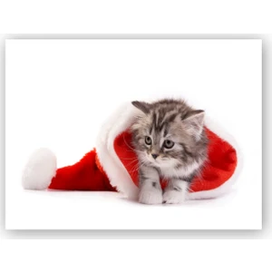 Caka Tablo   Ahşap Tablo Noel Şapkası ve Sevimli Yavru Kedi