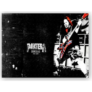 Caka Tablo   Ahşap Tablo Pantera Solist Dimebag Darrell