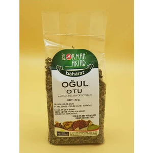 Lokman Aktar Oğul Otu 30 gr