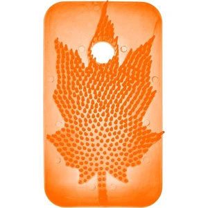 Sihirli Koku Yaprağı Mango 10 Adet