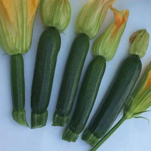 Doğal Siyah Sofralık Kızartmalık Kabak Tohumu  20 Tohum