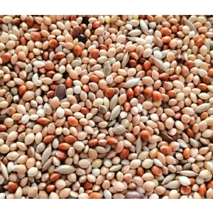 Şampiyon Karışık Muhabbet Kuşu Yemi 2 kg