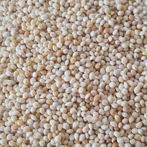 Şampiyon Muhabbet Kuşu Yemi Sade Ak Darı 5 kg