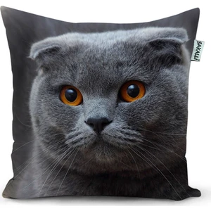 Kedi Desenli 3D Baskılı Dekoratif Kırlent Kılıfı