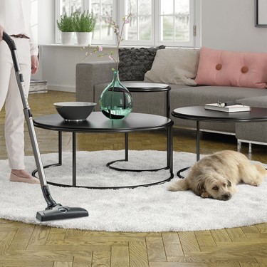 Electrolux ESPC74SWT Silent Performer Cyclonic Silent ACAA Fiyatı