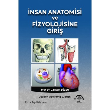 Insan Anatomisi Ve Fizyolojisine Giris L Bikem Suzen Kitabi