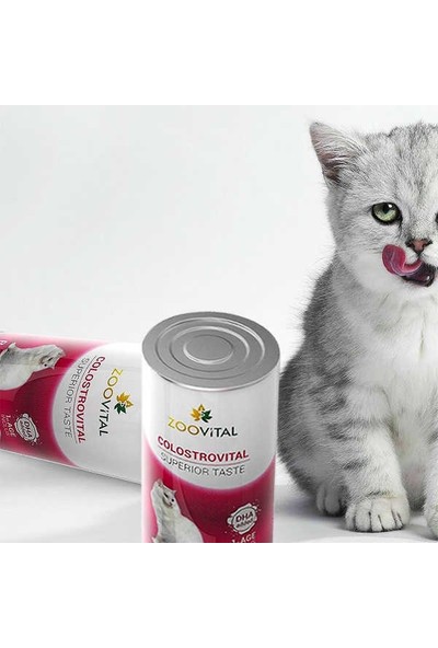 Zoovital Kitten Milk Yavru Kedi Süt Tozu 200 gr Biberon Seti