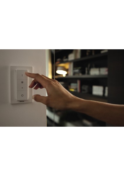 Hue DIM Switch