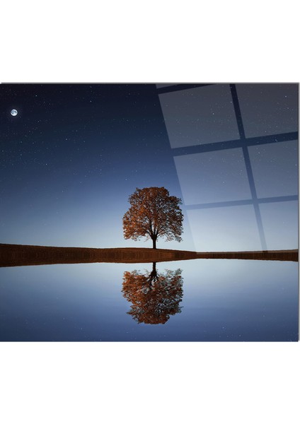 Cam Ocak Arkası Koruyucu | Yalnız Ağaç Desenli