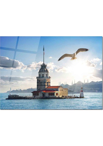 Cam Tablo Martı Tablo 50 x 70 cm Uv Baskı Temperli Cam