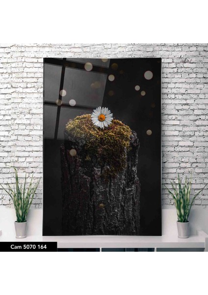 Cam Tablo Çiçekli Tablo 50 x 70 cm Uv Baskı Temperli Cam