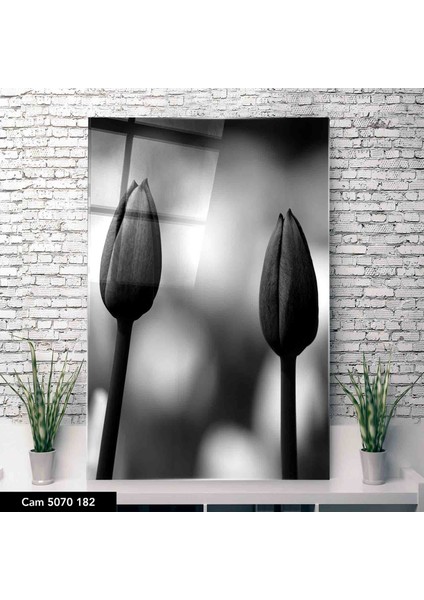 Cam Tablo Çiçekli Tablo 50 x 70 cm Uv Baskı Temperli Cam