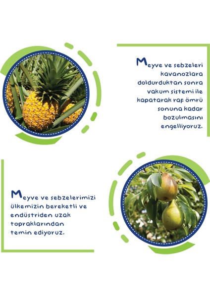 Hero Baby Armut Şeftali ve Ananas Püreli Kavanoz Mama 125g