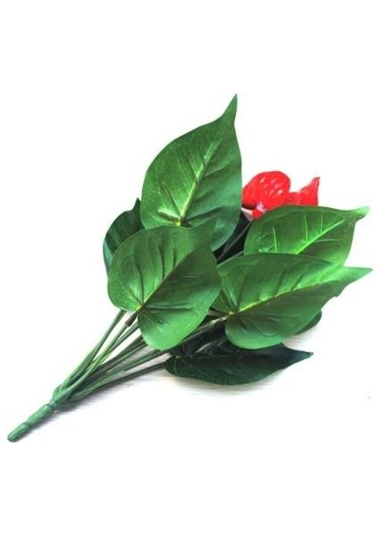 Islak Antoryum Kırmızı Yapay Çiçek Etli 1.kalite 3 Kafalı Anthurium
