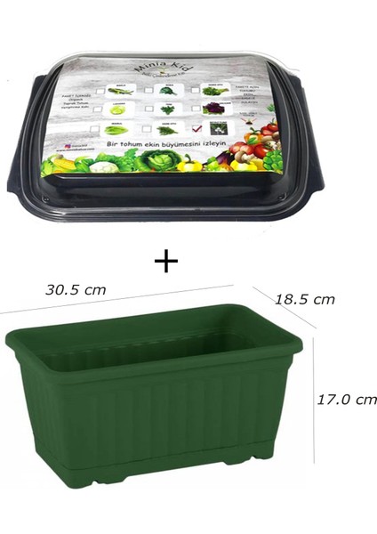 Minia Bahçe Minia Kid Turp Çimlendirme Kiti ve Saksı