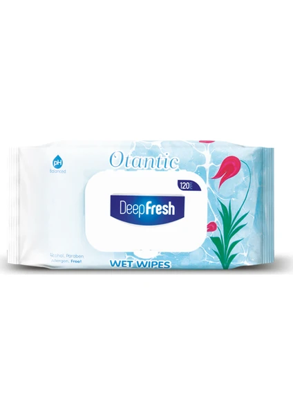 Deep Fresh Otantik Islak Mendil Ebruli 120 Yaprak