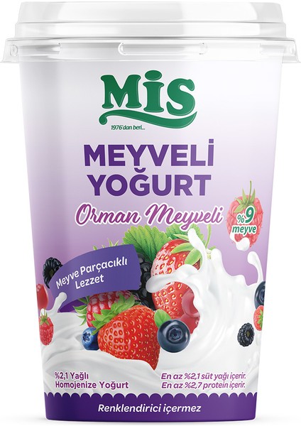 Meyveli Yoğurt Orman Meyveli 500 gr
