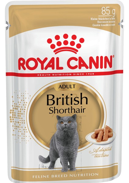 10 Adet British Shorthair Yetişkin Kedi Yaş Maması 85 gr