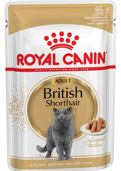 6 Adet British Shorthair Yetişkin Kedi Yaş Maması 85 gr