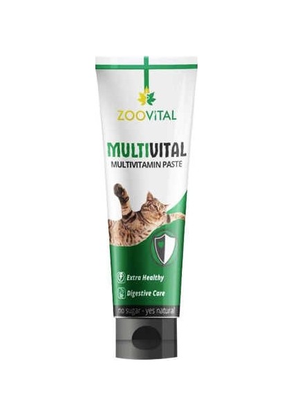 2 Adet Multi Vitamin Paste Kedi Vitamini Macunu 100 gr
