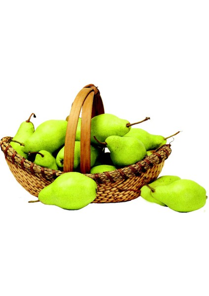 Armut San. Maria 500 gr