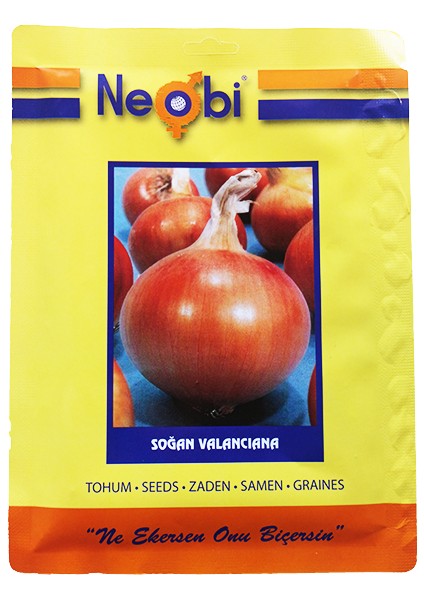 Soğan Tohumu Valanciana 10 gr