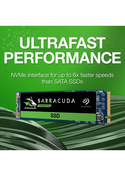 Barracuda 510 250GB 3100-1200MB PCIe Gen3 X4 NVMe M2 SSD