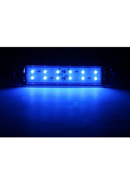 Dekoratif LED Lamba 12 Çift Sıralı Mavi 12-24 V 10 Adet fiyatları