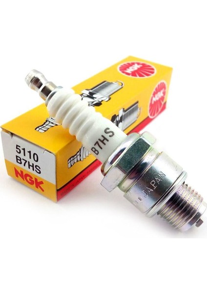 Universal B7HS Buji