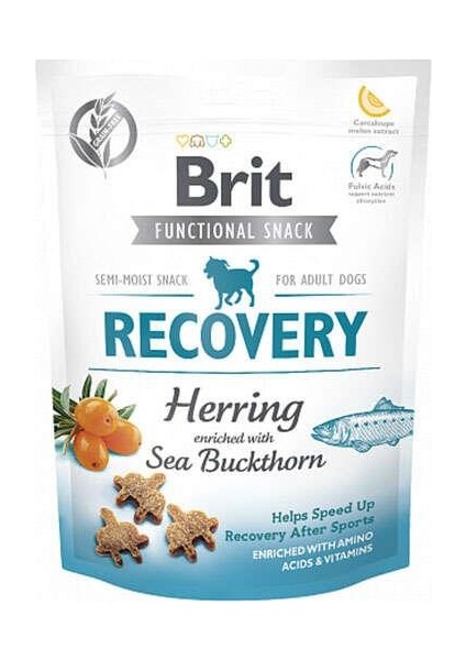 Recovery Ringa Balıklı Köpek Ödülü 150 gr