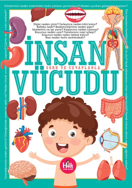 Insan Vücudu