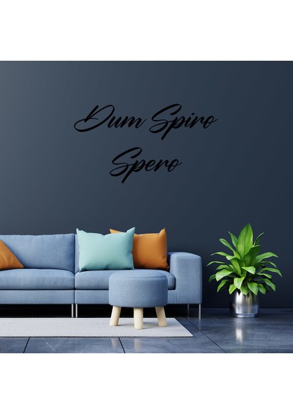 El Yazısı İle Yazılmış Dum Spiro Spero Duvar Yazısı Sticker 60x33cm - Siyah