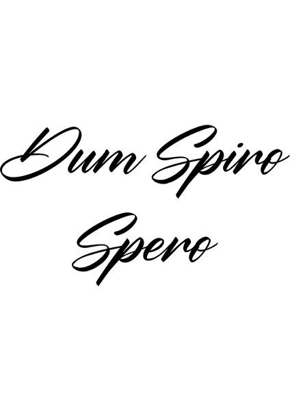 El Yazısı İle Yazılmış Dum Spiro Spero Duvar Yazısı Sticker 60x33cm - Siyah
