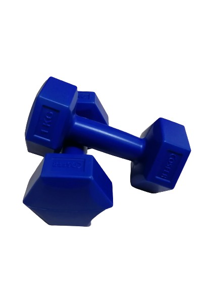 1 kg Plastik Lacivert Dambıl Seti