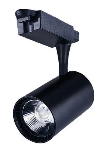 30W LED Ray Spot Siyah Kasa