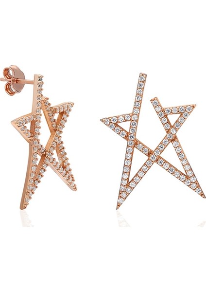 925 Ayar Yıldız Kadın Gümüş Küpe