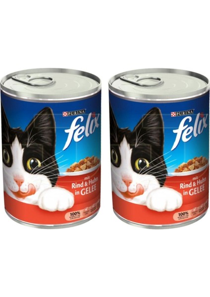 Purina Sığır Etli Konserve Yaş Kedi Maması 400 gr x 2 Adet