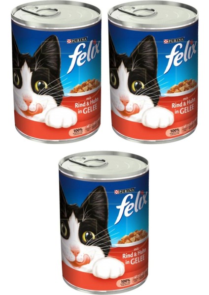 Purina Sığır Etli Konserve Yaş Kedi Maması 400 gr x 3 Adet